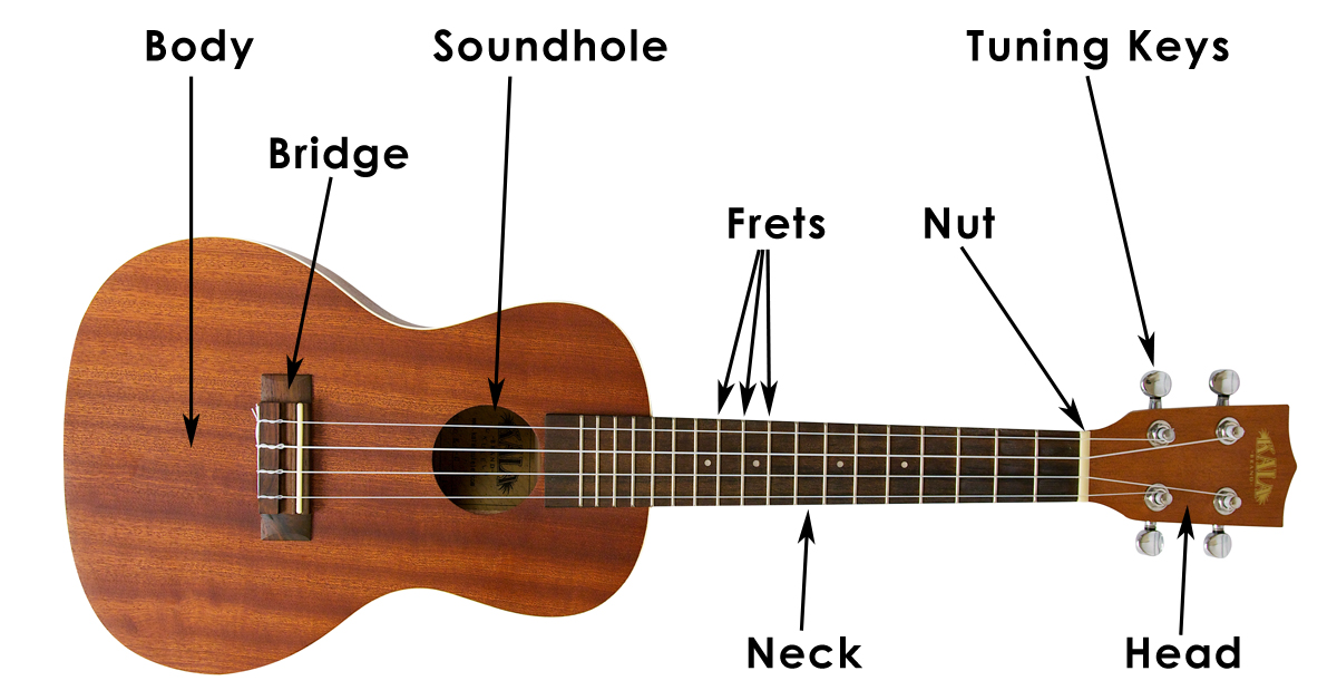 På kanten Anonym Kænguru Learn How to Hold a Ukulele - Ukulele Tutorial for Beginners