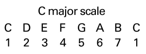 Transpose Music - C Major Scale Degrees