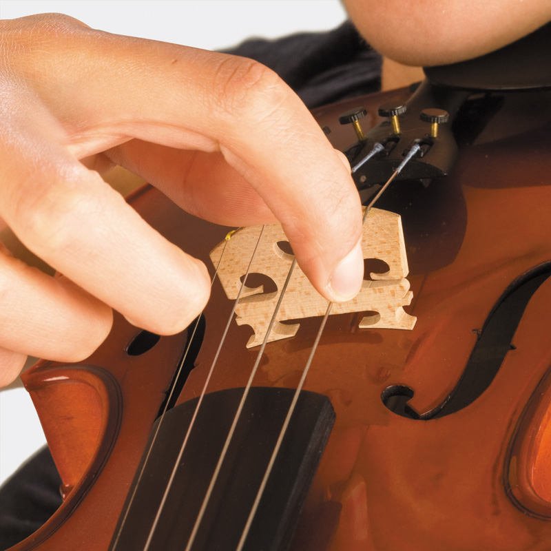 How to Play the Violin - To Play Music Blog